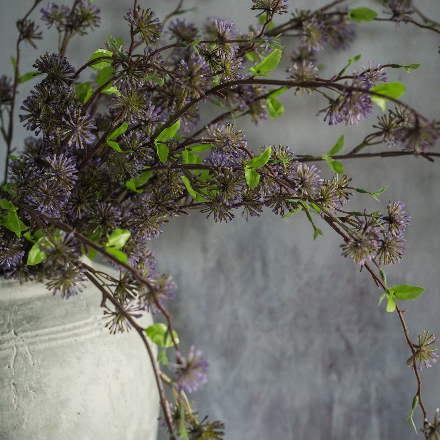 36" Purple Eucalyptus Seed Stem
