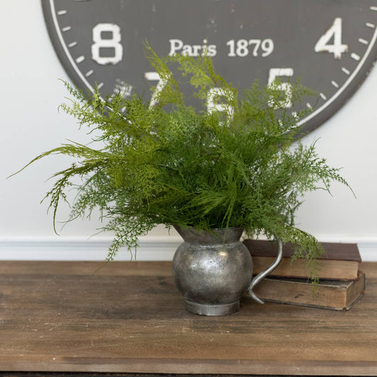 18" ASPARAGUS FERN