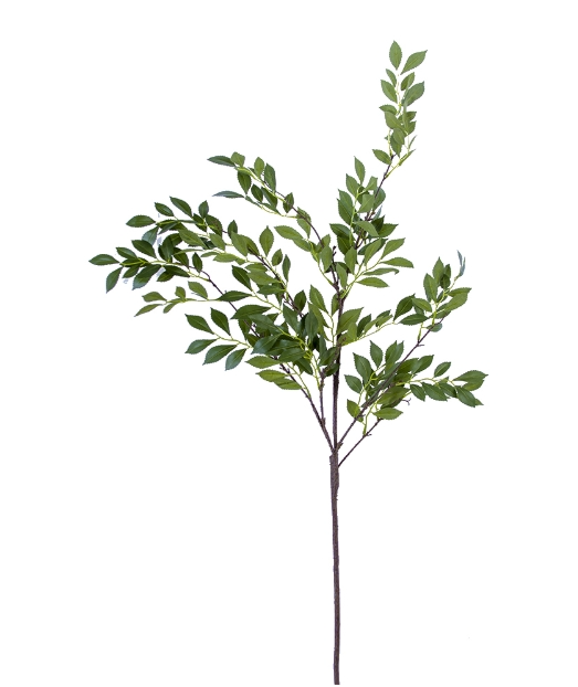 Jasmin Spray Stem