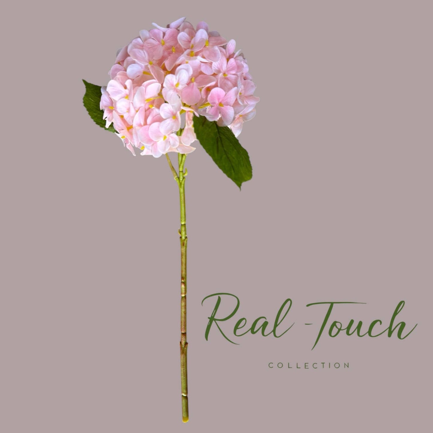 18"Hydrangea Stem